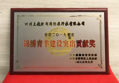 2019年度 成都市青羊区“突出贡献奖”