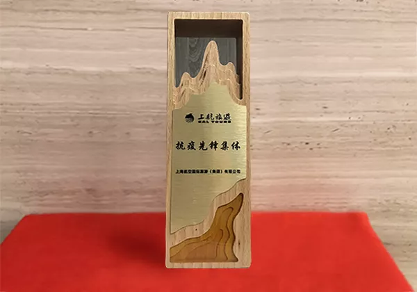 2020年度 上航旅游集团“抗疫先锋集体”